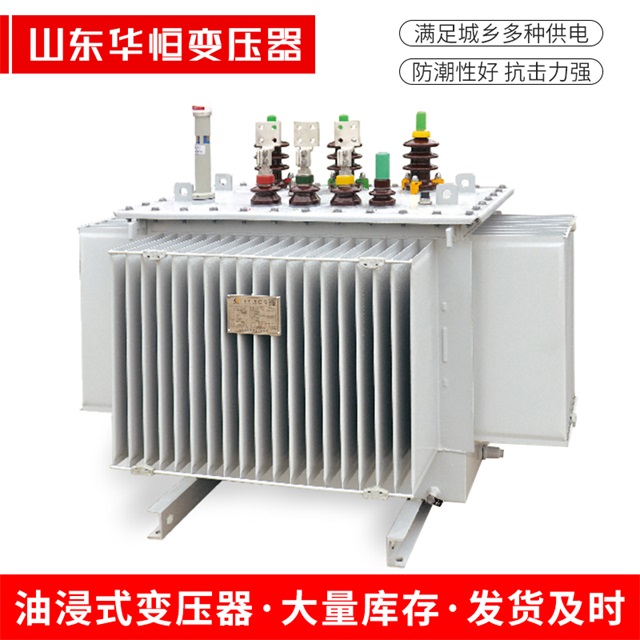 S13-10000/35永仁永仁永仁电力变压器