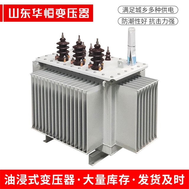 S13-10000/35永仁永仁永仁油浸式变压器厂家